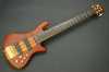 Schecter 2.jpg